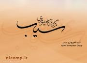 گروه كامپيوتري سيب